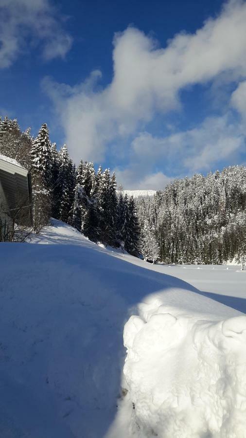 Haus Amade Lägenhet Wagrain Exteriör bild